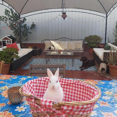 Small Room In Sants With Huge Terrace Barcelona Ngoại thất bức ảnh