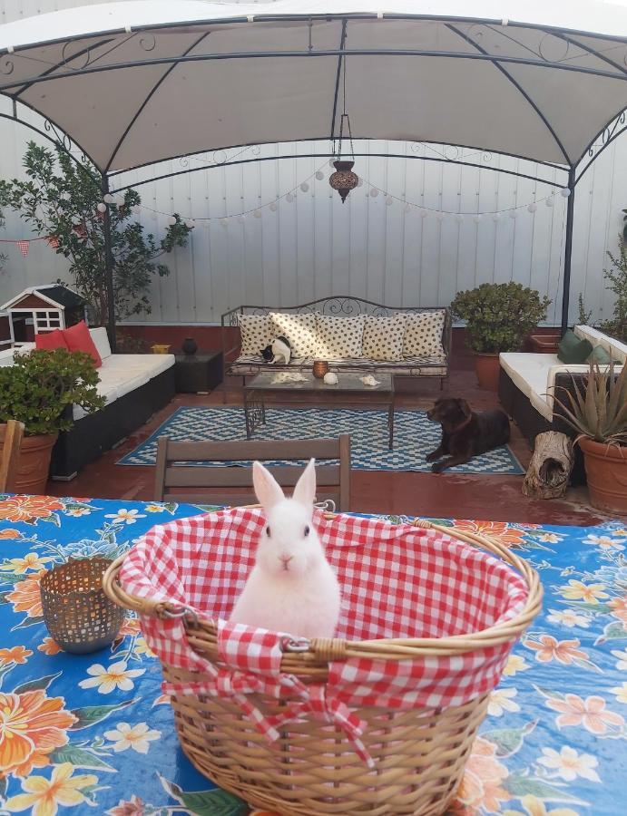 Small Room In Sants With Huge Terrace Barcelona Ngoại thất bức ảnh