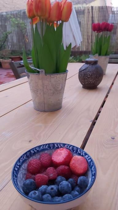 Small Room In Sants With Huge Terrace Barcelona Ngoại thất bức ảnh